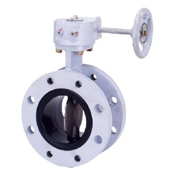 KITZ開滋球墨鑄鐵蝶閥VG-10NFJUE-250A