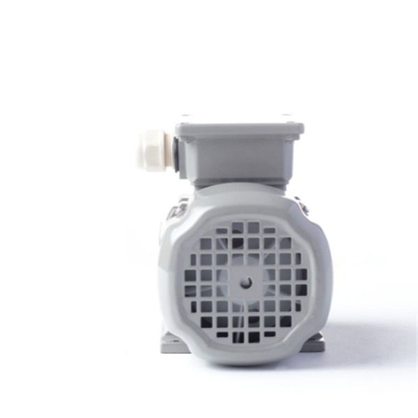 德國AC MOTOREN防火防爆電機E3-ASA 132 SA 2