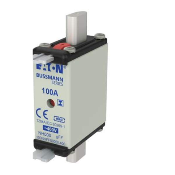 EATON伊頓Bussmann系列快速圓帽式熔斷器 FWX-50A14F-D